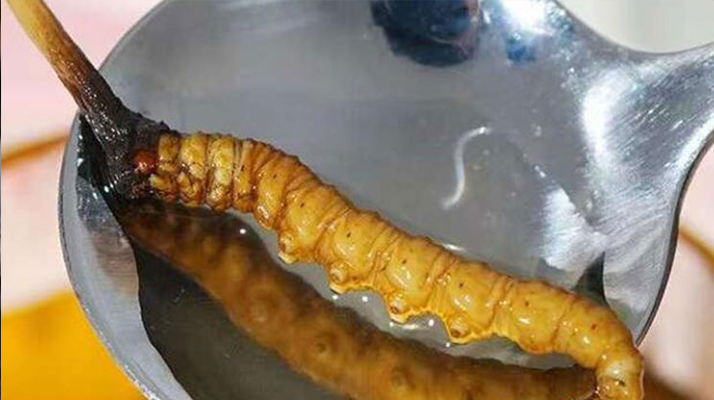 曹縣網(wǎng)絡(luò)公司